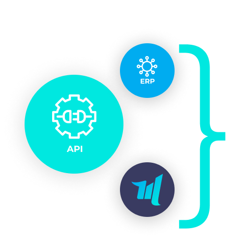 Icones referente ao Api, Erp, M-force.